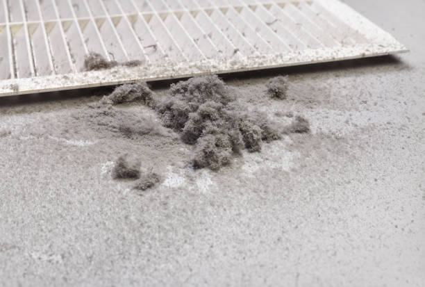 Best Best Air Duct Cleaning Company  in Williams, CA