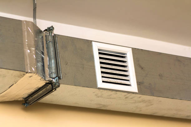 Best Professional Duct Cleaning Services  in Williams, CA